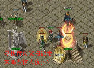 Ѱ�Ҵ�������ܴ�����Щ�������ƣ�