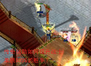 ���渨���������սʿ����BOSS��ʤ�ʣ�