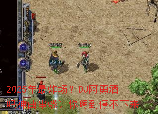 2025����ը����DJ���¾ư��������������˵�ͣ������