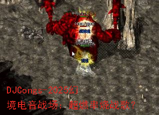 DJCongs-2025�þ�����ս������ȼ����ս�裿