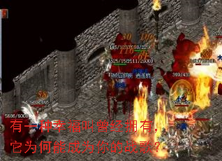 ��һ���Ҹ�������ӵ�У���Ϊ���ܳ�Ϊ���ս�裿