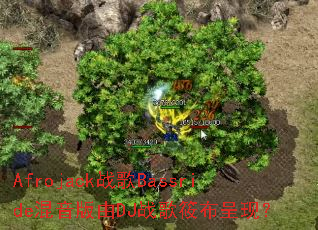 Afrojackս��Bassride��������DJս���㲼���֣�