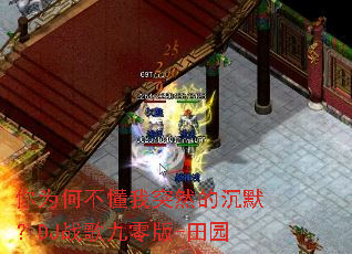 ��Ϊ�β�����ͻȻ�ĳ�Ĭ��DJս������-��԰