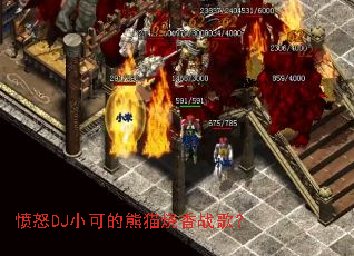 ��ŭDJС�ɵ���è����ս�裿