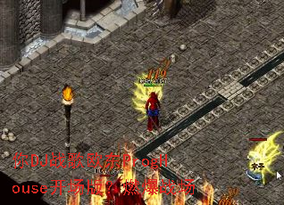 ��DJս��ŷ��ProgHouse�����棿ȼ��ս��