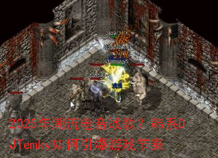 2025�곱������ս�裿��ϵDJTemky���������Ϸ����