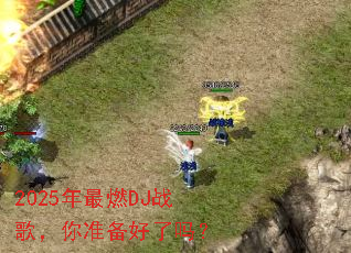 2025����ȼDJս�裬��׼��������