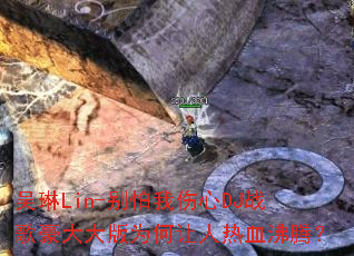 ����Lin-����������DJս�������Ϊ��������Ѫ���ڣ�