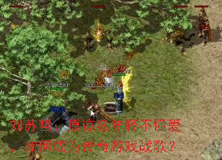 �����ܣ�ԭ�������᲻��������γ�Ϊ������Ϸս�裿