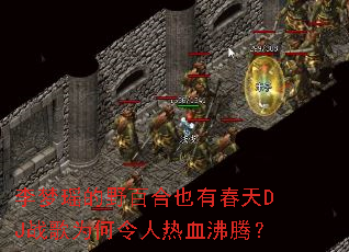 ��������Ұ�ٺ�Ҳ�д���DJս��Ϊ��������Ѫ���ڣ�