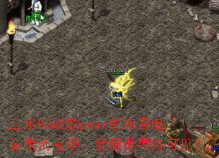 ��ˮDJս��pear�ı�ѩ�����Ǻ�ҹ�������������տɼ���