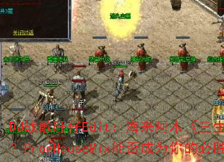 DJս������Edit��������ľ���������ҡ�ȼ��ս����ProgHouseMix�ܷ��Ϊ��ı�ʤս�裿