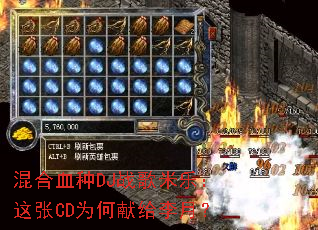 ���Ѫ��DJս�����֣�����CDΪ���׸����£�