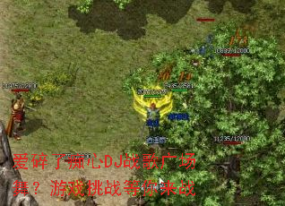 �����˳���DJս��㳡�裿��Ϸ��ս������ս