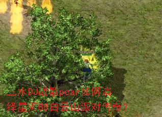 ��ˮDJս��pear��������Ǻ�88����ɽ�ɶԴ��棿
