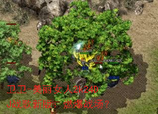 卫卫-美丽女人2k24DJ战歌新版:燃爆战场? 卫卫-美丽女人2k24DJ战歌新版:燃爆战场?