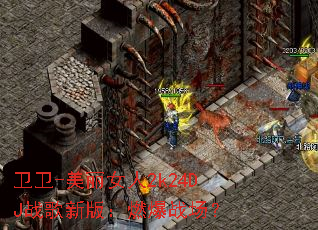 卫卫-美丽女人2k24DJ战歌新版:燃爆战场? 卫卫-美丽女人2k24DJ战歌新版:燃爆战场?