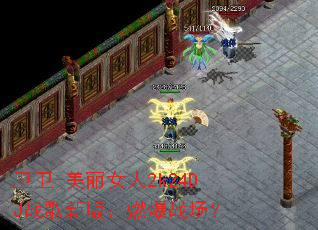 卫卫-美丽女人2k24DJ战歌新版:燃爆战场? 卫卫-美丽女人2k24DJ战歌新版:燃爆战场?