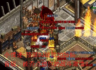 小情迷-预谋DJ战歌2025抖音版,能否点燃你的战斗激情? 小情迷-预谋DJ战歌2025抖音版,能否点燃你的战斗激情?