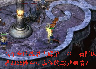 ��������ս���������ţ�ʯ��DJСǿ2025�ܷ��ȼ��ļ�ʻ���飿