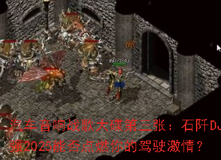 ��������ս���������ţ�ʯ��DJСǿ2025�ܷ��ȼ��ļ�ʻ���飿