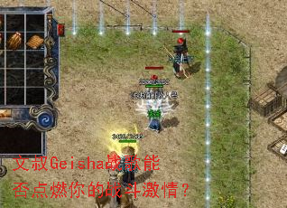 ����Geishaս���ܷ��ȼ���ս�����飿