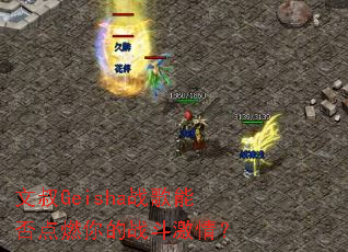 ����Geishaս���ܷ��ȼ���ս�����飿