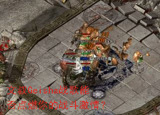 ����Geishaս���ܷ��ȼ���ս�����飿