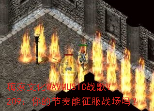 �˼��Ļ�WAVMUSICս��V209����Ľ���������ս����