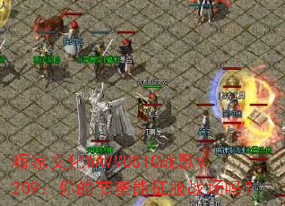 �˼��Ļ�WAVMUSICս��V209����Ľ���������ս����