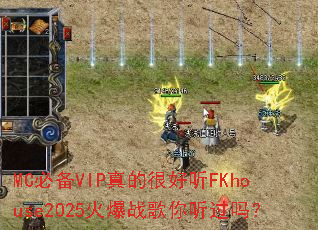 MC�ر�VIP��ĺܺ���FKhouse2025��ս����������