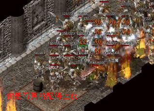 ���Ƿ�����������