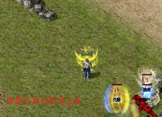 ���Ƿ�����������