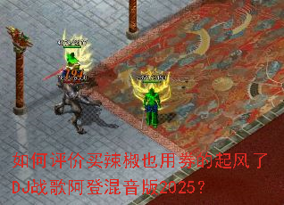 �������������Ҳ��ȯ�������DJս�谢�ǻ�����2025��