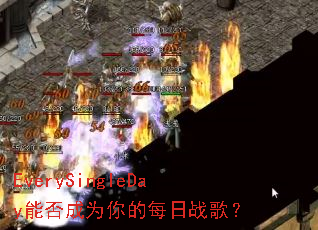 EverySingleDay�ܷ��Ϊ���ÿ��ս�裿