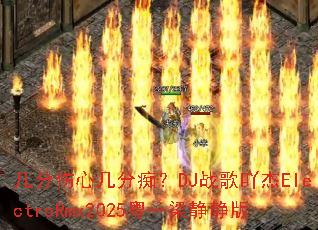 �������ļ��ֳգ�DJս��߹��ElectroRmx2025��һ��������