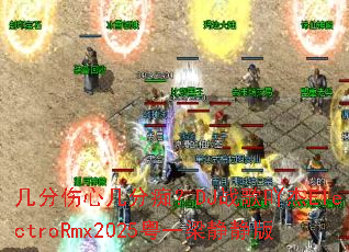 �������ļ��ֳգ�DJս��߹��ElectroRmx2025��һ��������