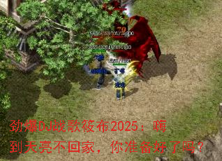 ����DJս���㲼2025���˵��������ؼң���׼��������