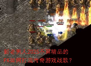 ��������2025���㾫Ʒ��FK��δ��촫����Ϸս�裿