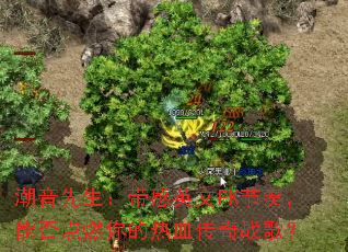 ��������������Ӣ��FK���࣬�ܷ��ȼ�����Ѫ����ս�裿