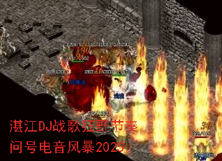 տ��DJս���Ұ�����ʺŵ����籩2025