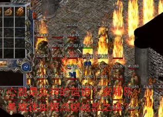 �������������ã�����ŷ��������ε�ȼս��֮�ꣿ