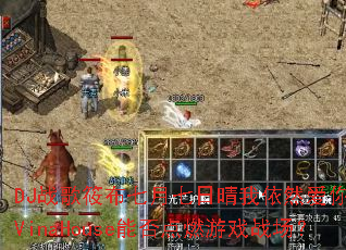 DJս���㲼��������������Ȼ����һ����VinaHouse�ܷ��ȼ��Ϸս����