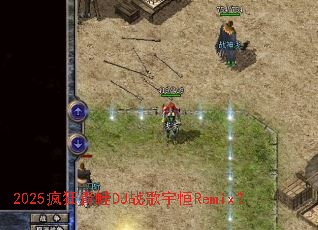 2025�������DJս�����Remix��