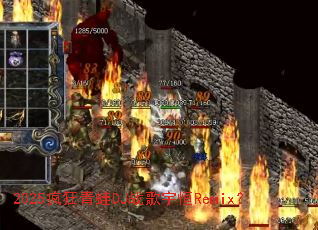 2025�������DJս�����Remix��