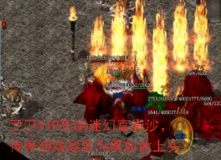 ����VIP�߶��Իø���ɳ��������Ϸս��Ϊ�������ͷ��