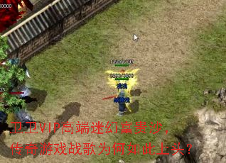 ����VIP�߶��Իø���ɳ��������Ϸս��Ϊ�������ͷ��