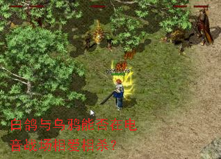 �׸�����ѻ�ܷ��ڵ���ս���మ��ɱ��