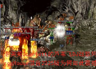 ��ܽܽScarlett��«έ��DJս�谢��ProgHouse����2025��Ϊ������𺳣�