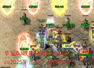 ����DJս������ProgHouse2025����ģ�ȼըս��